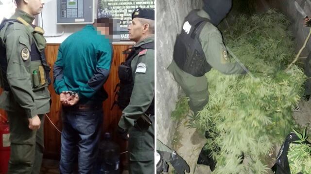 Operativo antidroga
