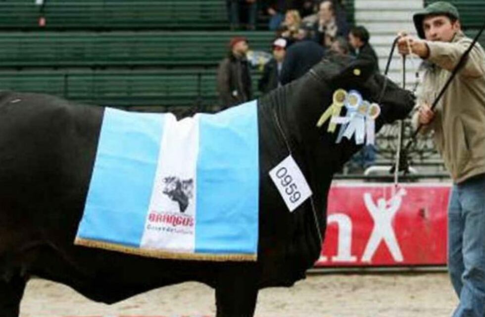 Todo lo que tenés que saber sobre la Expo Rural Córdoba 2017