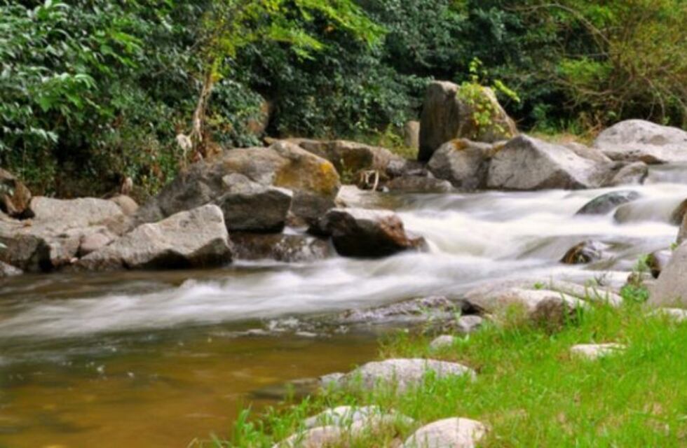 Cantante español se bañaba desnudo y la Policía lo detuvo