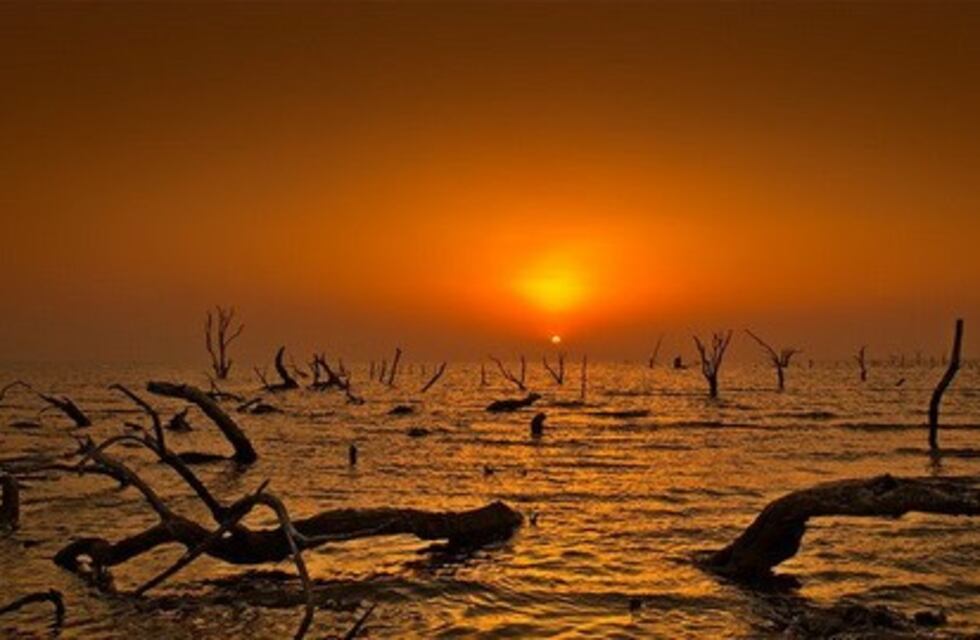 La Laguna Mar Chiquita no está contaminada