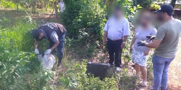 La droga apareció oculta entre malezas\u002E