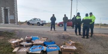 La Policía de San Luis detuvo a un auto que venía desde San Juan con 487 hamburguesas crudas\u002E