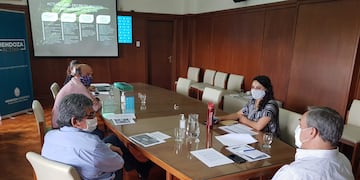 Mendoza ya trabaja para desarrollar la industria del cannabis medicinal.