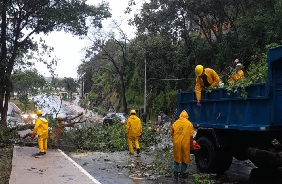Se registraron varios incidentes debido a la tormenta de Santa Rosa en Misiones