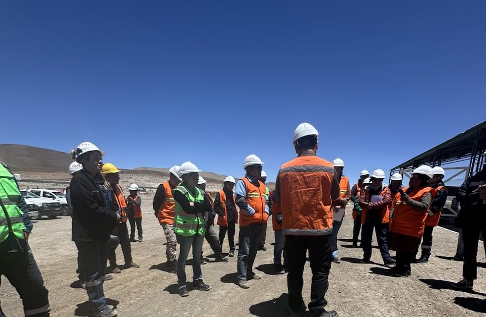 Fiscalización en el Proyecto Fénix