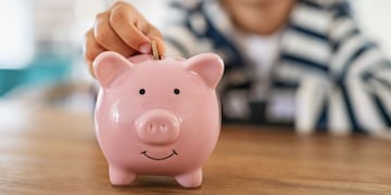 Lanzaron un libro para que los más chicos aprendan de finanzas.