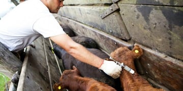 El gobierno de Misiones puso en marcha un protocolo para asistir a los productores\u002E