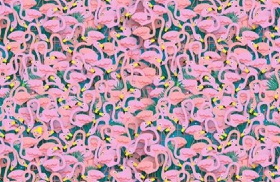 Este viral te vuelve loco: ¿podés encontrar a la bailarina?