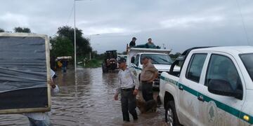 Personal de Parques Nacionales trabaja arduamente junto a equipos municipales\u002E (Prensa Parques Nacionales)