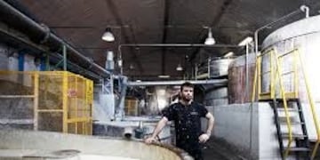 Pasta celulósica imagen ilustrativa\u002E