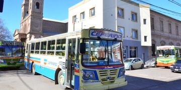 Colectivos Viedma\u002E