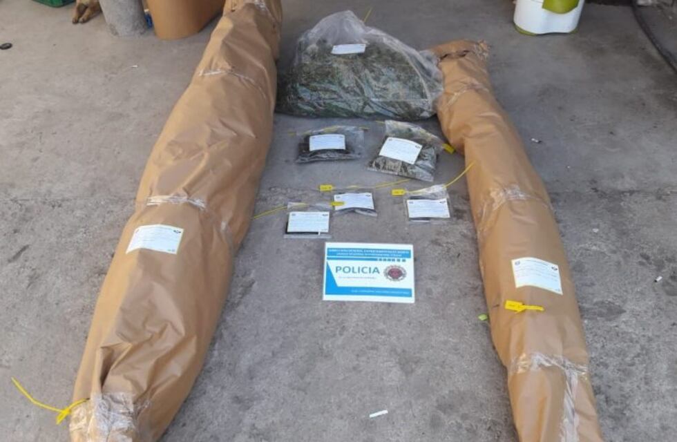 Detuvieron a una pareja con 3 kilos y medio de marihuana