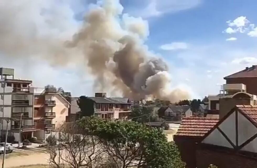 Un incendio quemó bosques y vegetación en Villa Gesell