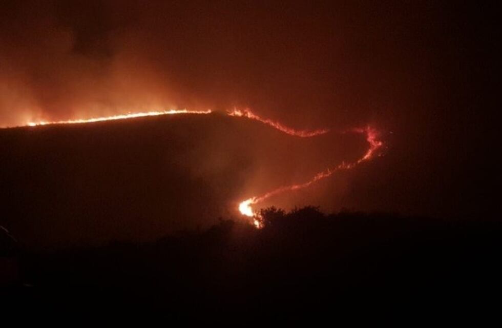 Sin descanso: bomberos combaten incendios forestales en San Martín y Las Chacras