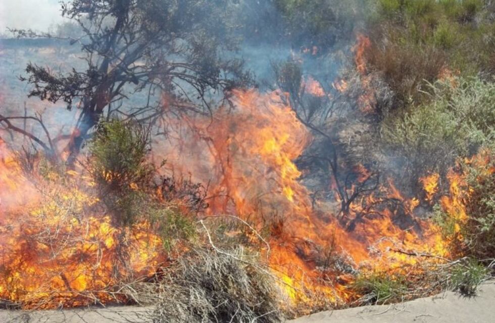 Por quemar hojas provocaron dos incendios de magnitud