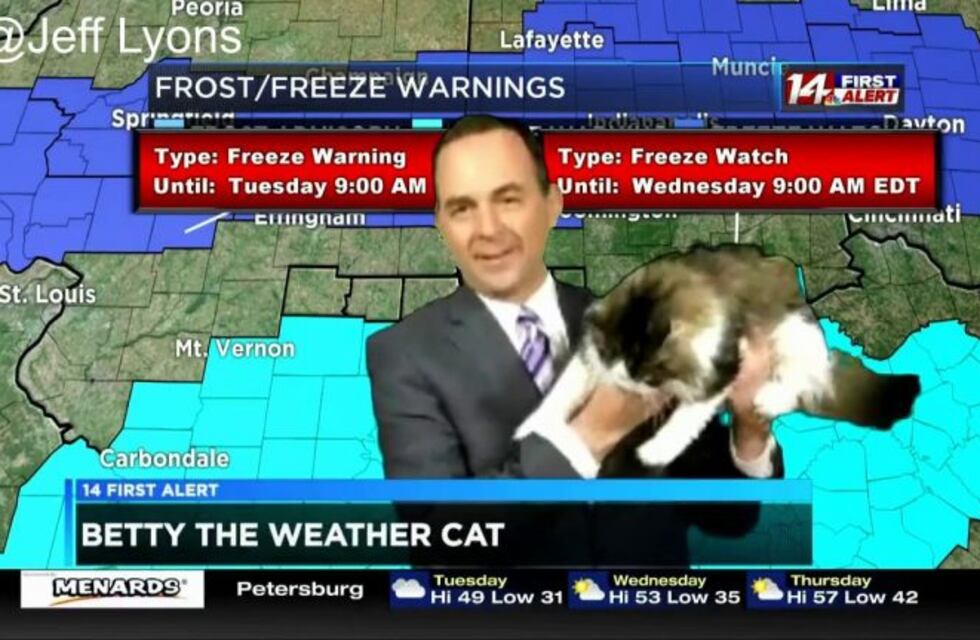Un meteorólogo presenta el pronóstico del tiempo con su gata y se vuelve viral