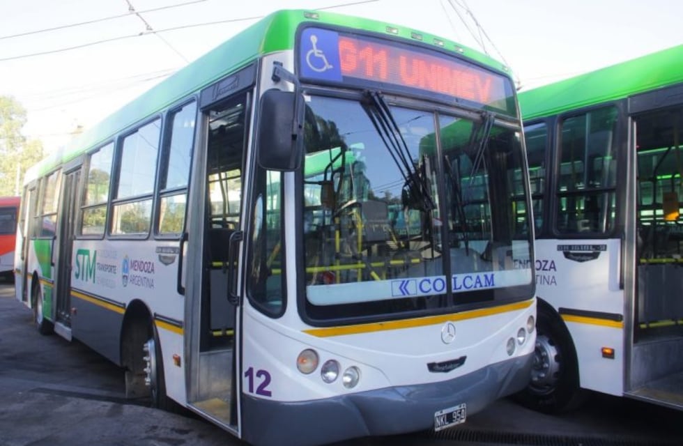 El Gobierno de Mendoza destinará $ 219 millones para la compra de micros híbridos