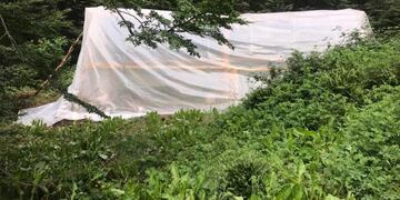 Desarme de construcción no autorizada en Tierra Mayor