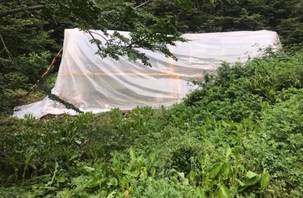 Se desarmó una construcción no autorizada en la Reserva Natural de Tierra Mayor