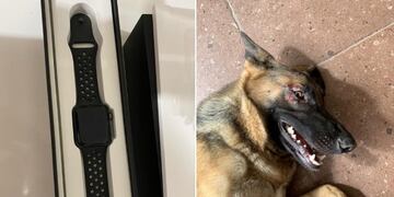 Puso en venta su reloj para pagar el tratamiento de su perra\u002E