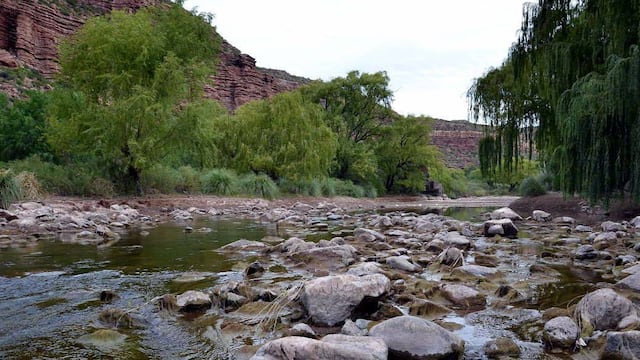 Reclamaron obras para hacer frente a la mega sequía. Archivo.