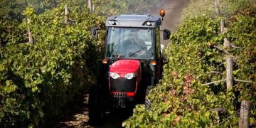 Uso de Agroquímicos