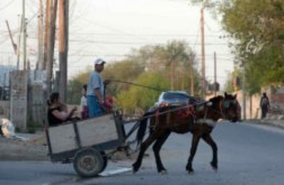 Arrestaron a dos hombres por maltratar al caballo que tiraba de su carro