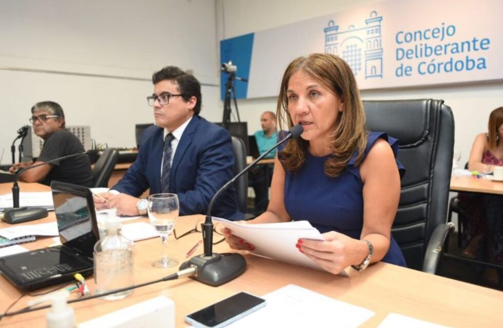 El Concejo Deliberante dispuso la caducidad del servicio de Movypark