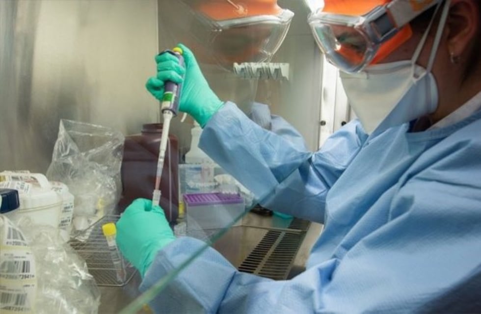 Coronavirus: tres nuevos casos positivos, dos de ellos son niños