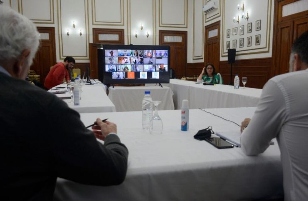 Videoconferencia de intendentes, comisionadas de fomento con la Gobernadora
