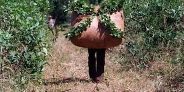 Imagen ilustrativa\u002E