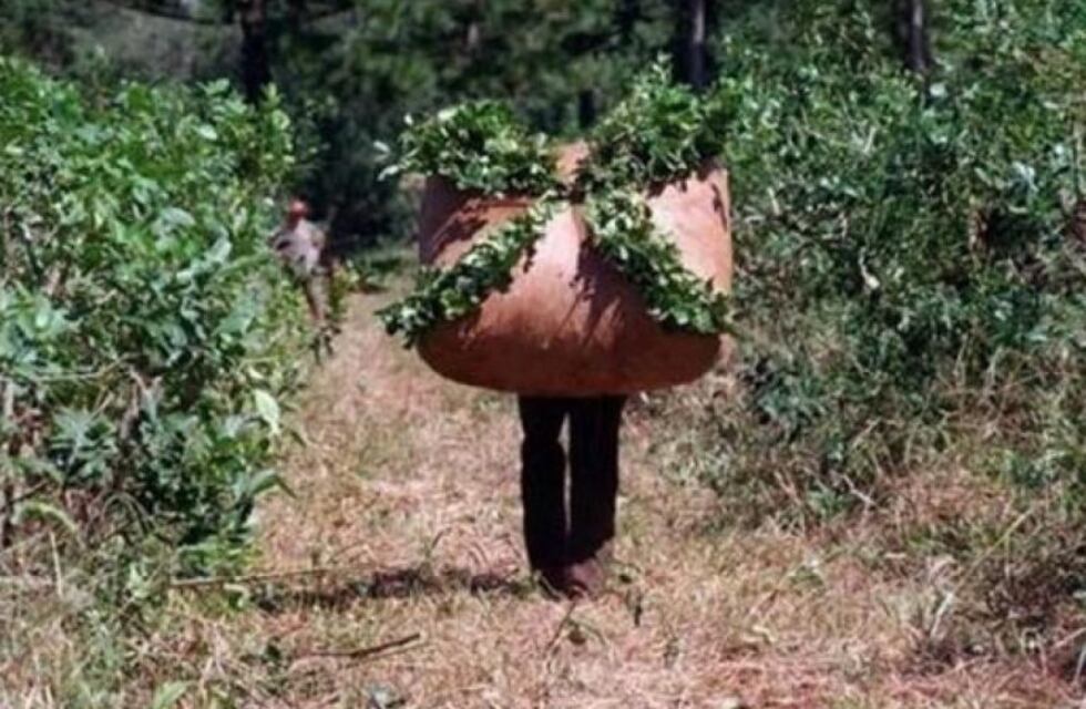 Pidieron la renuncia de los directores del INYM