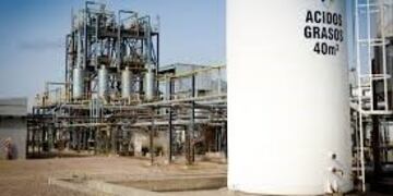 60 trabajadores de Biobahía fueron suspendidos