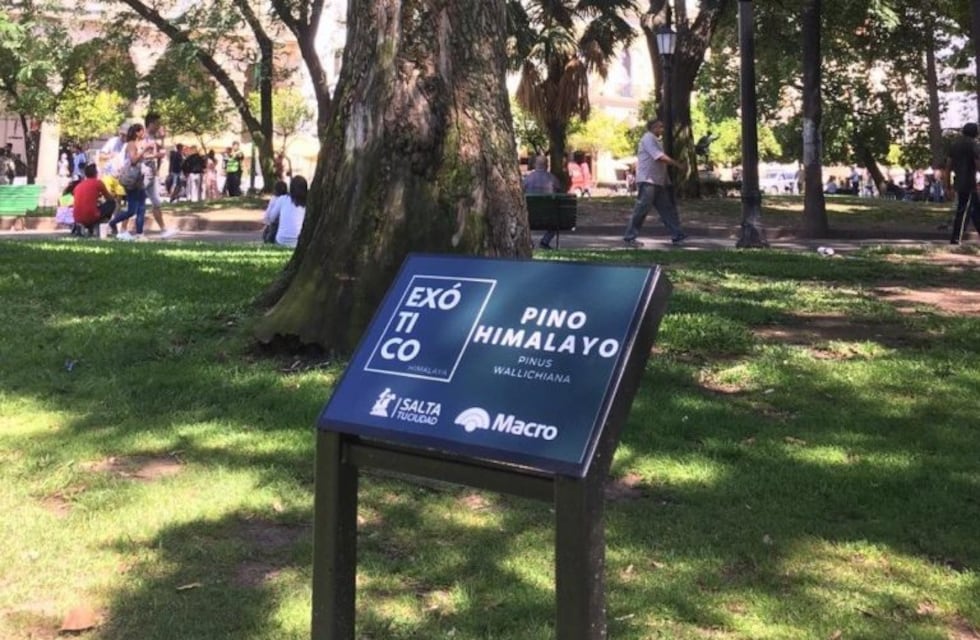 La plaza 9 de Julio ahora tiene carteles con los nombres de los árboles
