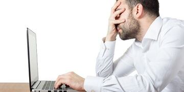 El test viral de animales que revela cuál es tu mayor virtud\u002E