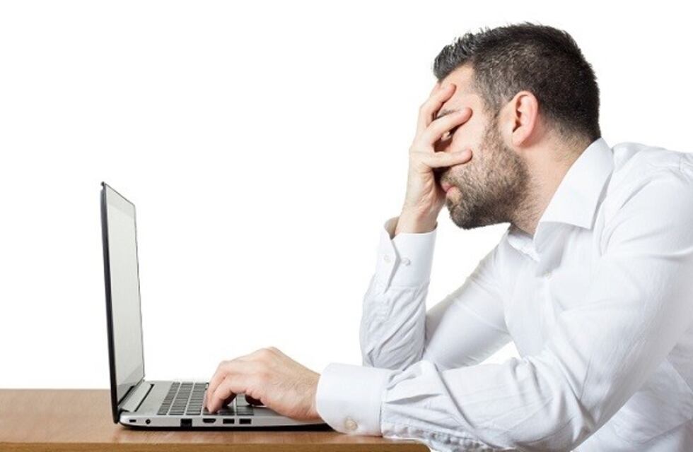 El test viral de animales que revela cuál es tu mayor virtud