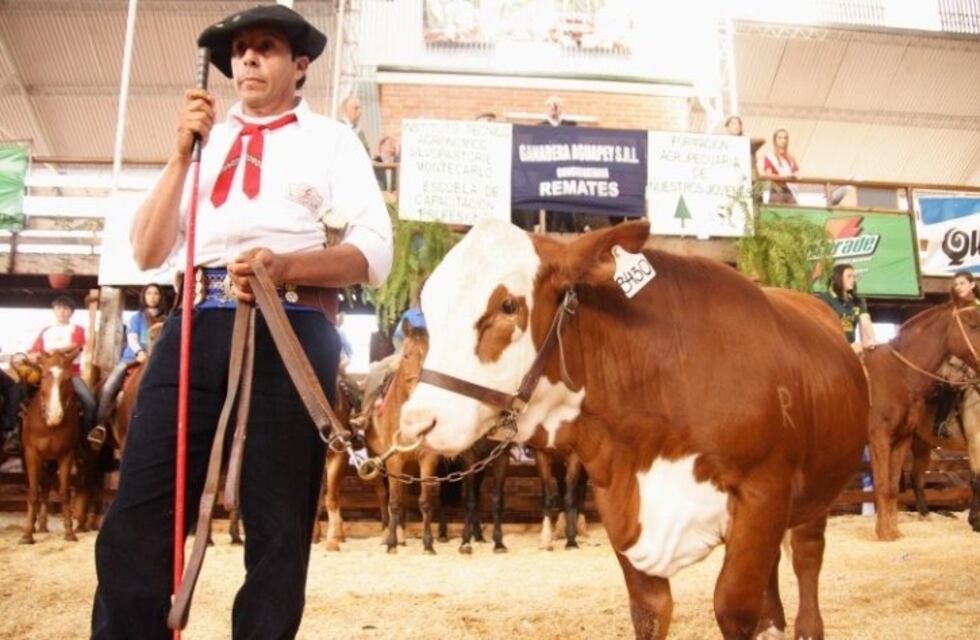 Capioví: este fin de semana se celebrará la Fiesta del Ganadero