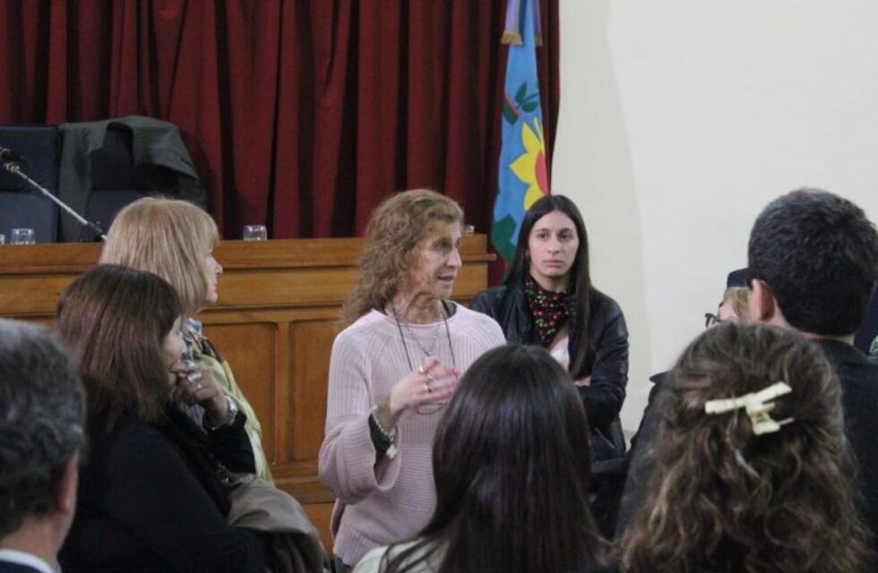 Comisión Municipal del Discapacitado: piden que la concejal Liliana García de un paso al costado