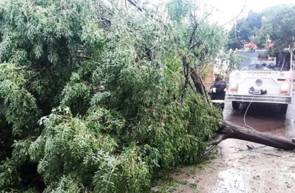 Un intenso temporal afectó varias localidades en el noreste pampeano