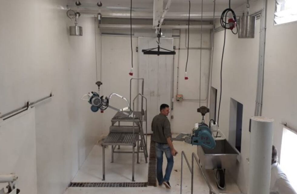 Se realizará el primer faenamiento de ovinos en el nuevo Matadero de San José