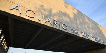 Inauguración del Acuario del Río Paraná I