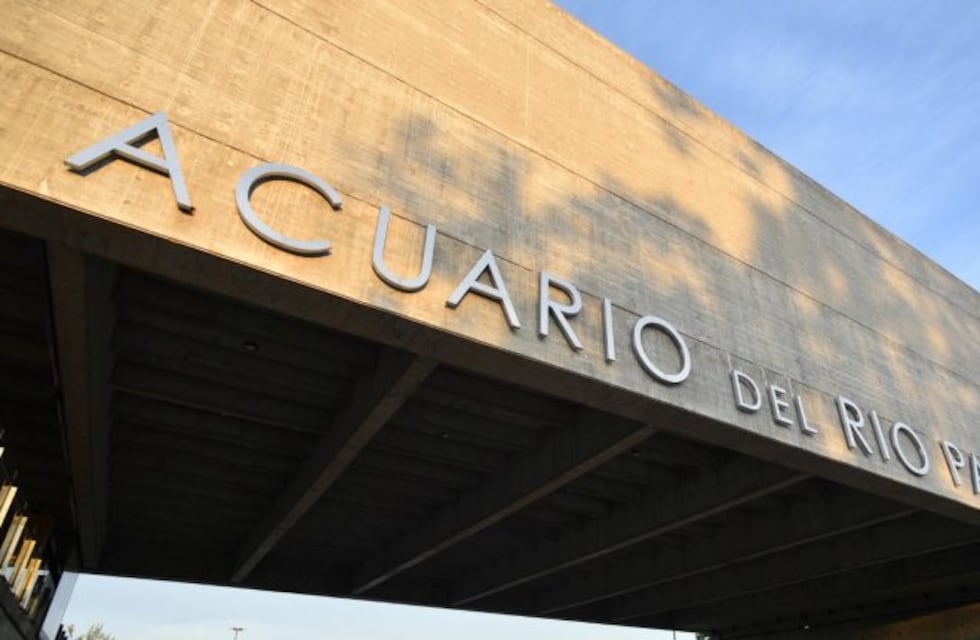 Se readecuó el Acuario para la carga de datos de coronavirus