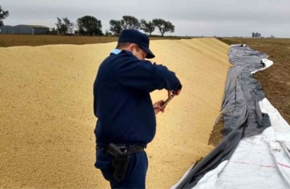 Productores reclaman que la Justicia investigue los ataques a silobolsas