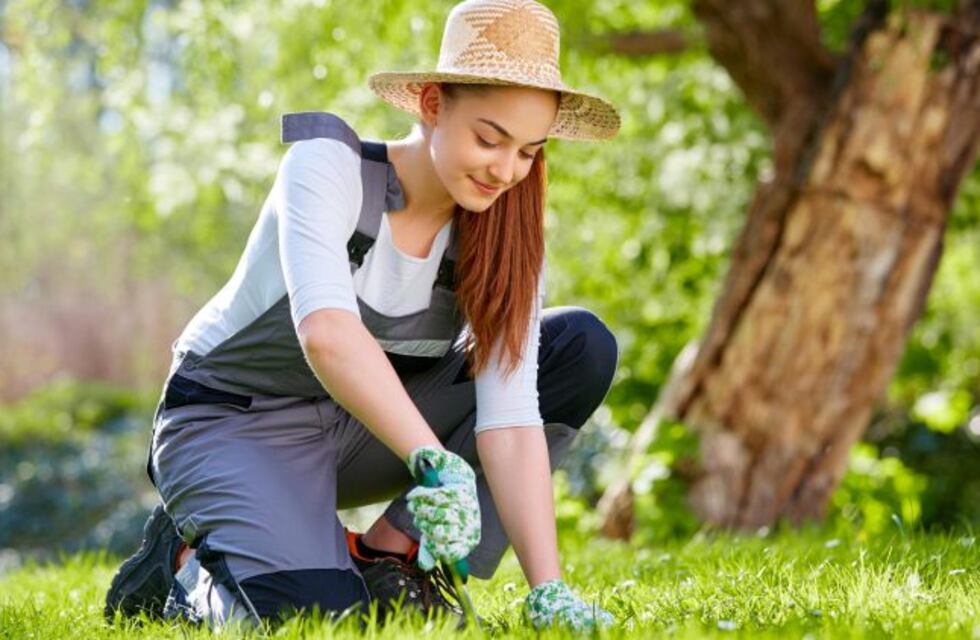¡Rabanitos salvadores! La huerta al rescate de los niños digitales