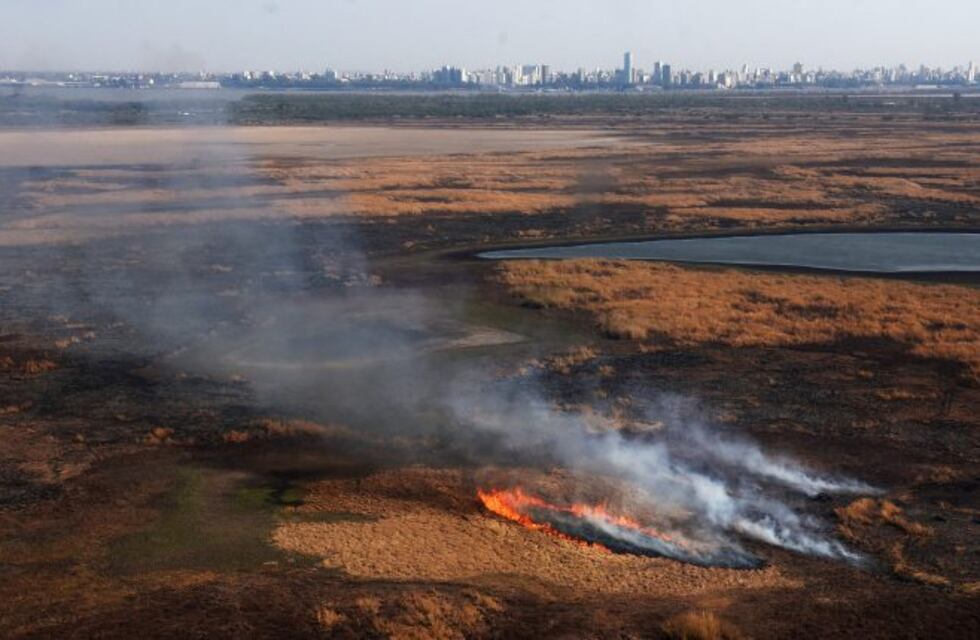 Concejala de Victoria asegura que este jueves entra pedido para lotear islas frente a Rosario