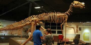 Museo de Antropología y Ciencias Naturales de la UNLaR