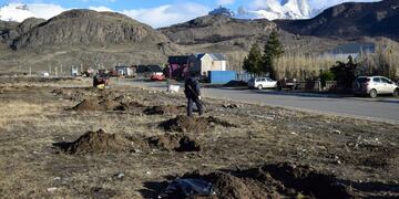 plan de forestación en El Chaltén