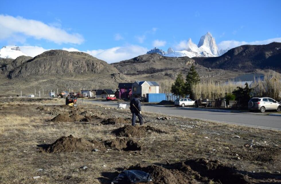 El Chaltén: Plan de Forestación con Nativas