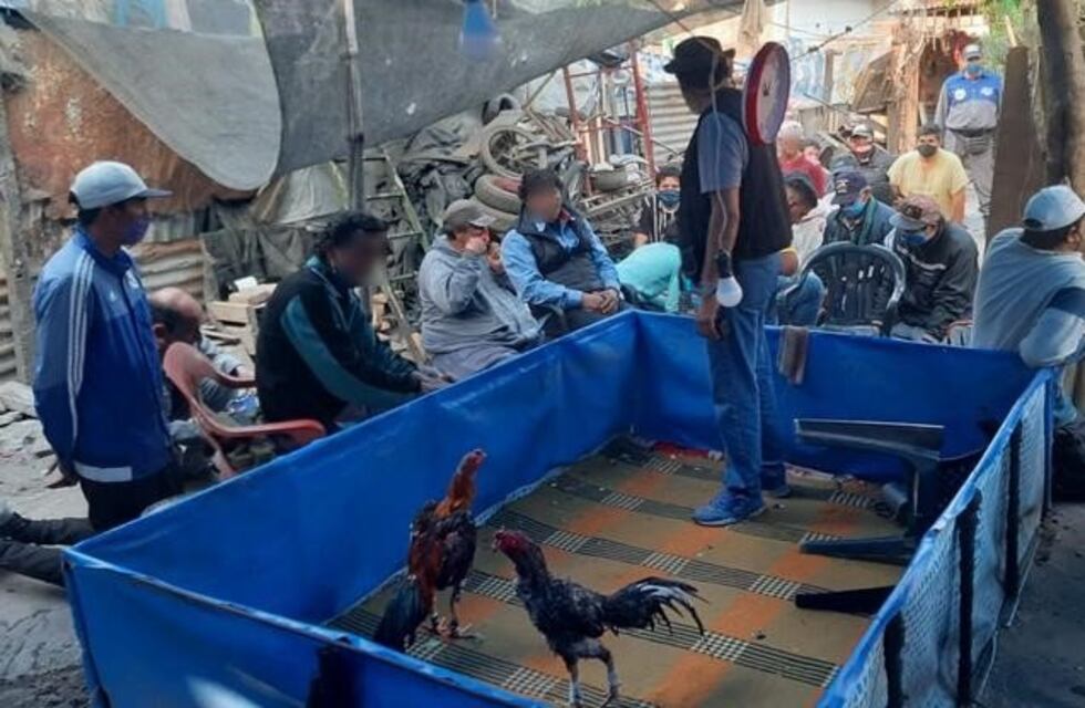 En una riña de gallo demoraron 46 personas