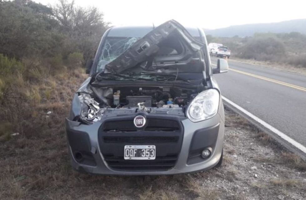 Un utilitario colisionó con un caballo en la Ruta Provincial E 34